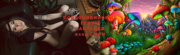 стафф Алексин