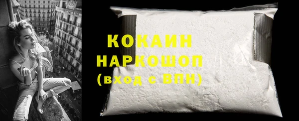 шишки Алзамай