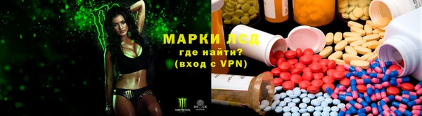 мяу мяу мука Арсеньев