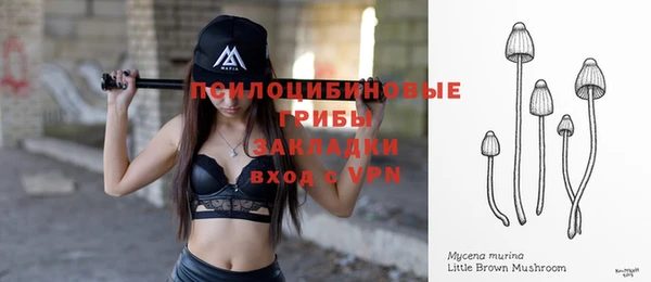 шишки Алзамай
