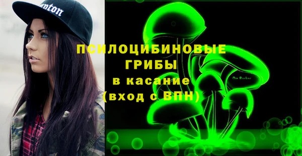шишки Алзамай