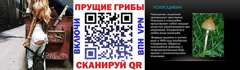 OMG маркетплейс  Обнинск  Галлюциногенные грибы Psilocybine cubensis 